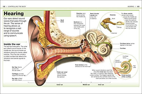 Pocket Eyewitness Human Body - Retail Maharaj