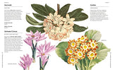 Flowers and Their Meanings: The Secret Language and History of Over 600 Blooms (A Flower Dictionary) - Retail Maharaj