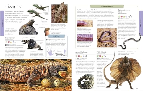 Animals: A Children's Encyclopedia