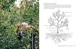 Fruit Trees for Every Garden: An Organic Approach to Growing Apples, Pears, Peaches, Plums, Citrus, and More