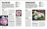 Grow Roses: Essential Know-how and Expert Advice for Gardening Success