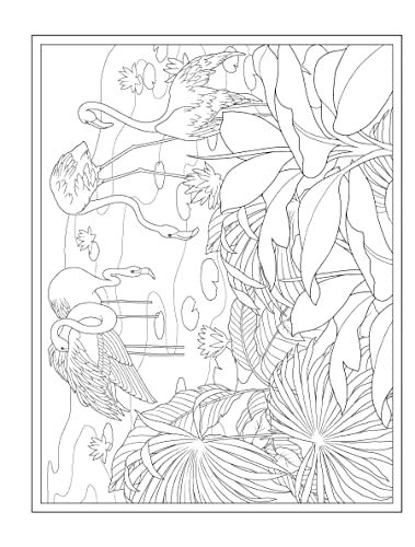 Creative Haven Tropical Wonders Coloring Book