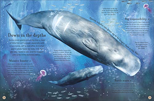 Through the Animal Kingdom: Discover Amazing Animals and Their Remarkable Homes (Journey Through)