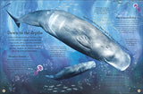 Through the Animal Kingdom: Discover Amazing Animals and Their Remarkable Homes (Journey Through)