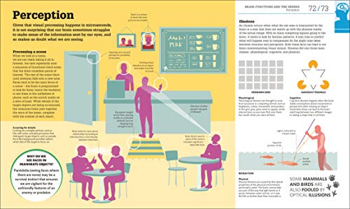 How the Brain Works: The Facts Visually Explained (How Things Work)