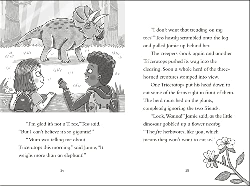 Dinosaur Club: A Triceratops Charge