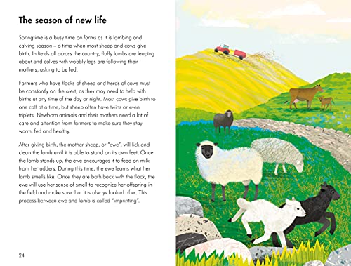 What to Look For in Every Season: A Ladybird Book Boxset
