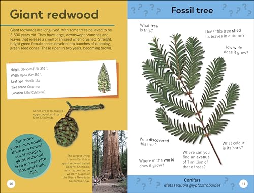 Quiz Yourself Clever! Trees of the World