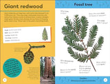 Quiz Yourself Clever! Trees of the World