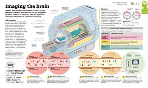 How the Brain Works: The Facts Visually Explained (How Things Work)