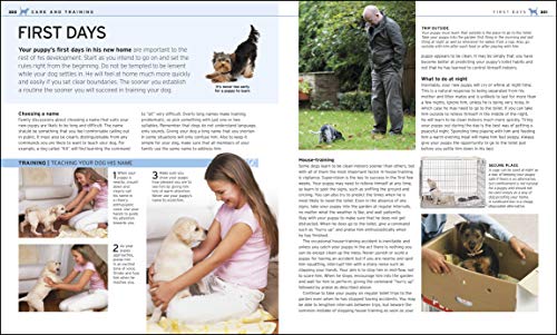 The Complete Dog Breed Book - Retail Maharaj
