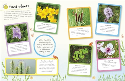 RHS Ultimate Sticker Book Garden Pond: New Edition with More Than 250 Stickers