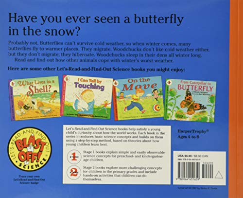 Animals In Winter