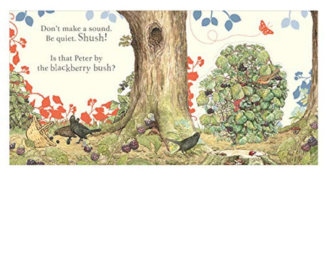 Where is Peter Rabbit? - Retail Maharaj