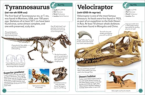 My Book of Fossils