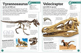 My Book of Fossils