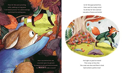 Peter Rabbit: Hide and Seek!: Inspired by Beatrix Potter's iconic character