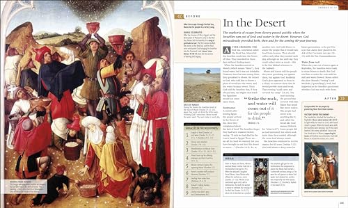 The Illustrated Bible Story by Story