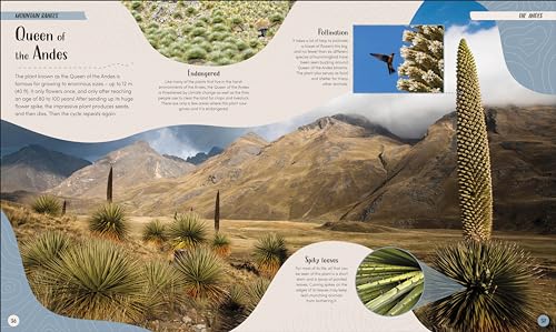 Mountain: Go On a Grand Tour of the Highest Places on Earth