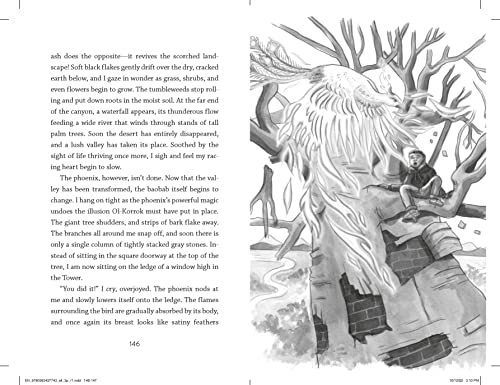 The Enchanted Bridge: 4 (Dragons in a Bag)