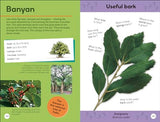 Quiz Yourself Clever! Trees of the World