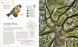 The Tree Book: The Stories, Science, and History of Trees