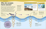 How Deep is the Ocean?: With 200 Amazing Questions About The Ocean (Why? Series)