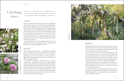 RHS Roses: An Inspirational Guide to Choosing and Growing the Best Roses