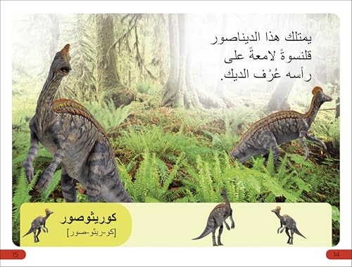 DK Super Readers Pre-level Meet the Dinosaurs (Arabic translation)