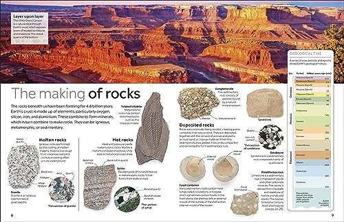Fossil (Eyewitness) (DK Eyewitness)