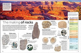 Fossil (Eyewitness) (DK Eyewitness)