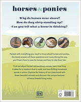 Horses & Ponies: Everything You Need to Know, From Bridles and Breeds to Jodhpurs and Jumping! - Retail Maharaj