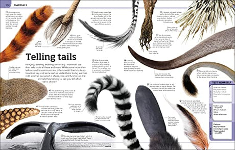 Animal Knowledge Genius!: A Quiz Encyclopedia to Boost Your Brain - Retail Maharaj