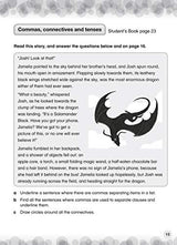 International Primary English Workbook: Stage 4 (Collins International Primary English) - Retail Maharaj