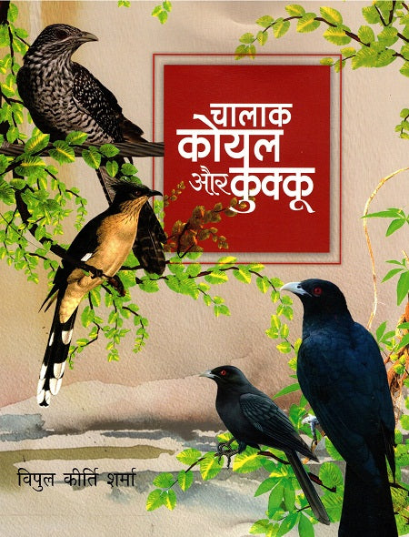 CHALAK KOYAL AUR CUCKOO - Retail Maharaj