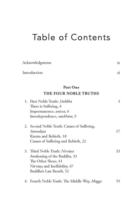 In Search Of Nirvana (Buddha's Path In Today's World) - Retail Maharaj