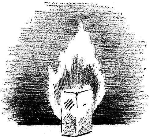 Entertaining Science Experiments With Everyday Objects (Dover Children's Science Books)