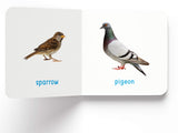 My First Book of Birds | First Birds Board Book for Babies, Toddlers & Preschoolers | Learn About Common Birds with Bright and Realistic Pictures | Early Learning Book for Kids Ages 0-3 Years - Retail Maharaj