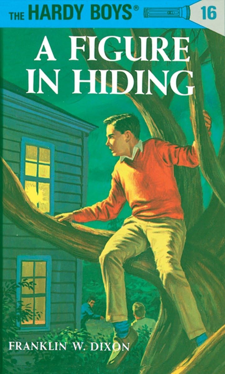 Hardy Boys 16: a Figure in Hiding (The Hardy Boys) - Retail Maharaj
