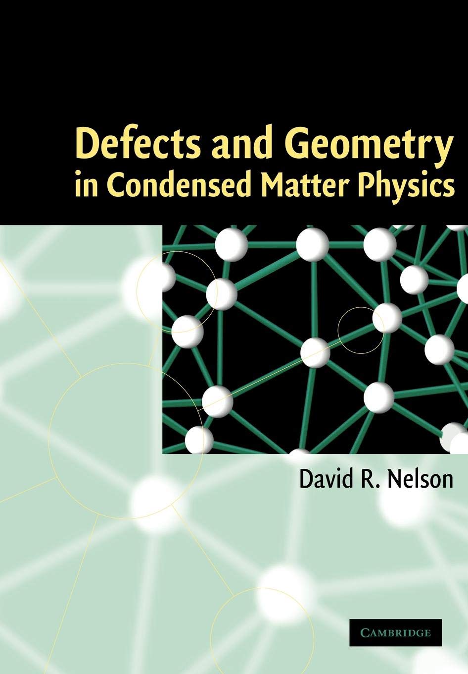 Defects and Geometry in Condensed Matter Physics - Retail Maharaj
