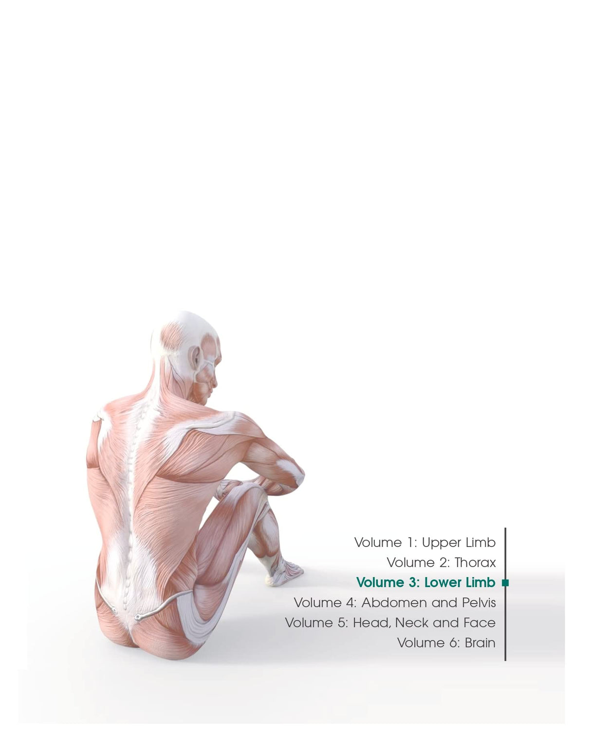 Textbook Of Human Anatomy With Color Atlas And Clinical Integration 2 Vol Set (Vol 3 Lower Limb & Vol 4 Abdomen And Pelvis) With Companion Workbook (Pb 2024)