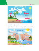 Golden Science Study Material Based on NEW NCERT Curiosity For Class 6 | For CBSE 2026 Exams | Summary | Solved NCERT Textual Questions | Sample Papers | Objective Type Question | Video Animation
