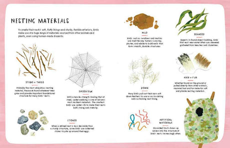 Nests, Eggs, Birds: An Illustrated Aviary - Retail Maharaj