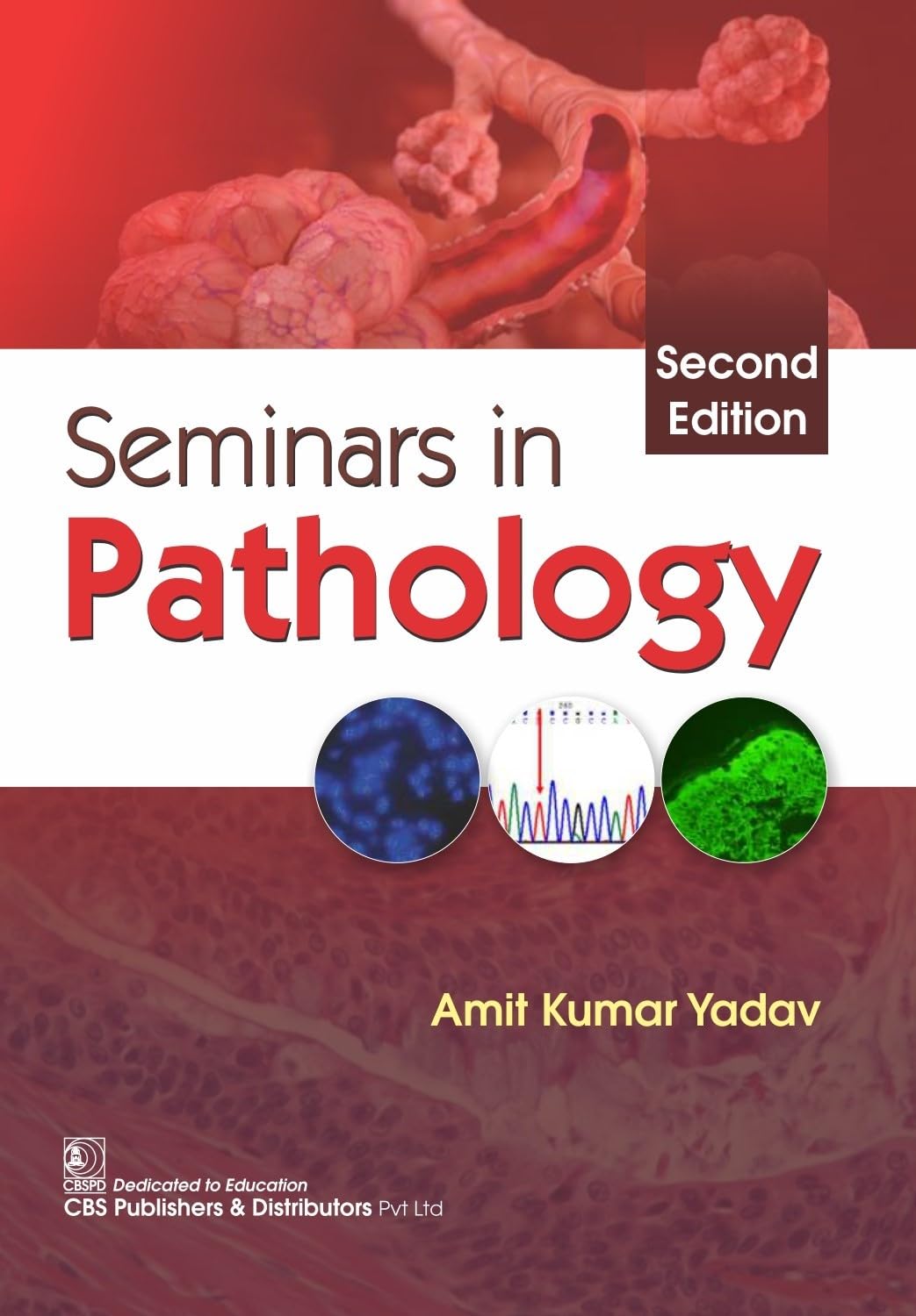 Seminars In Pathology 2Ed (Pb 2024)