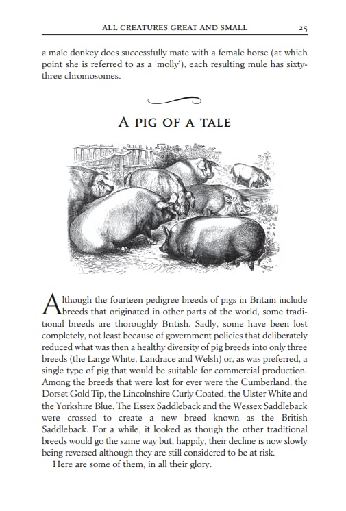 Red Sky at Night: The Book of Lost Country Wisdom - Retail Maharaj