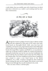 Red Sky at Night: The Book of Lost Country Wisdom - Retail Maharaj