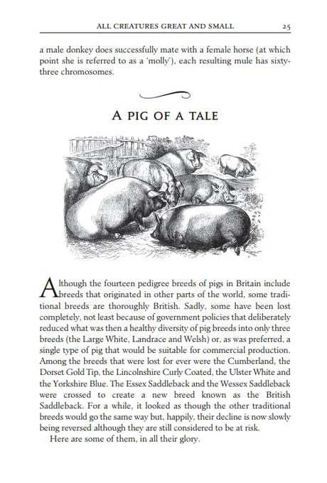 Red Sky at Night: The Book of Lost Country Wisdom - Retail Maharaj