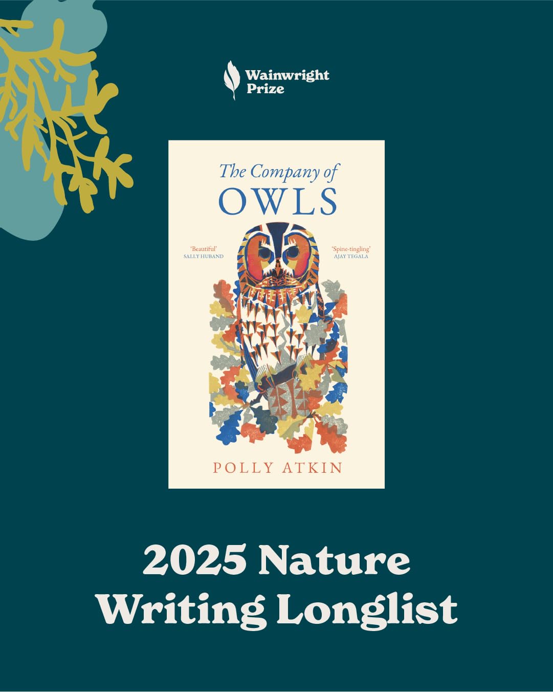 The Company of Owls: The perfect stocking filler the bird lover in your life - Retail Maharaj