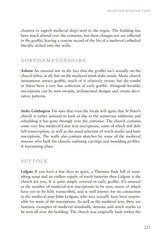 Medieval Graffiti: The Lost Voices of England's Churches - Retail Maharaj