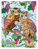 SARNAT-CREATIVE HAVEN OWLS CB